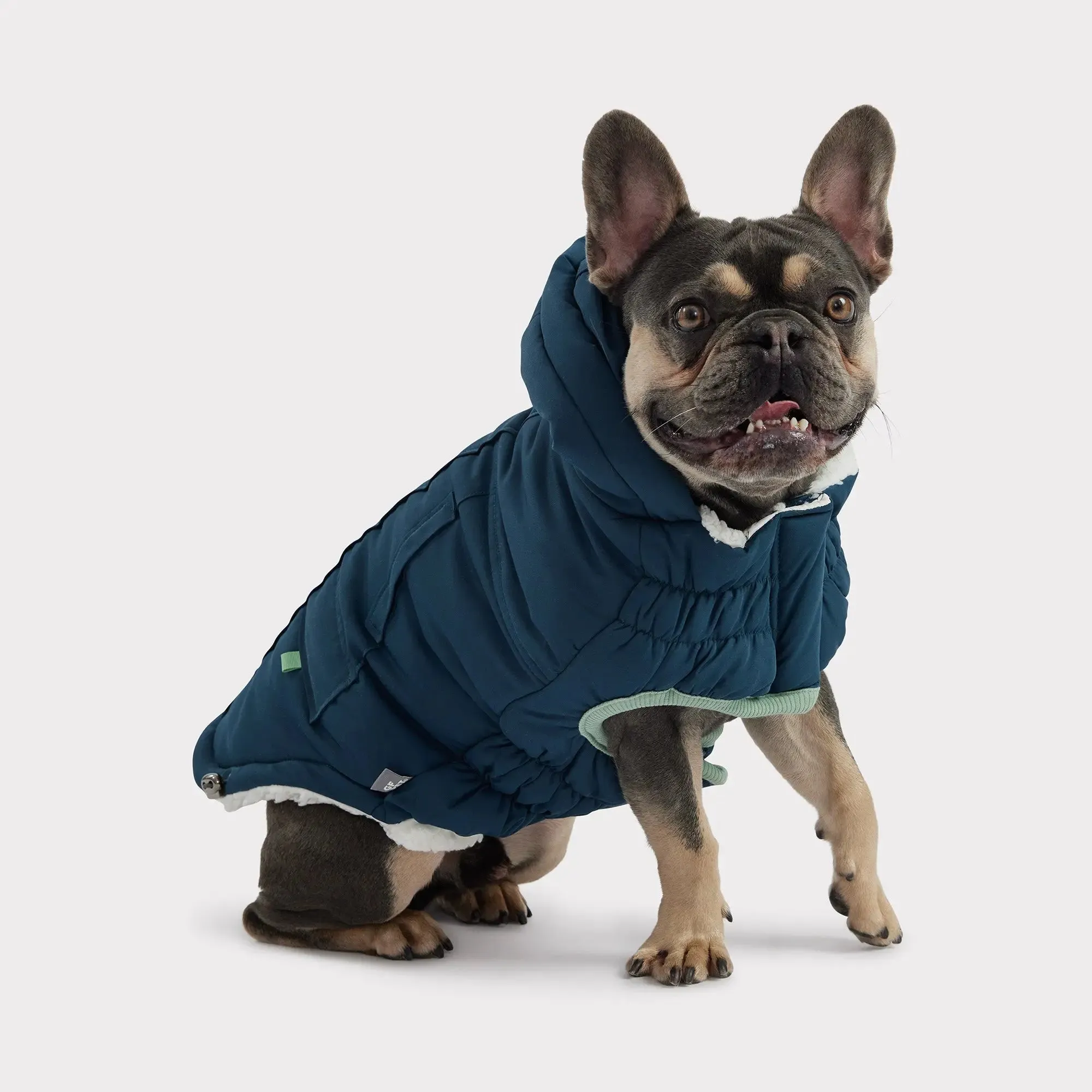 Arctic Dog Parka | Dark Teal