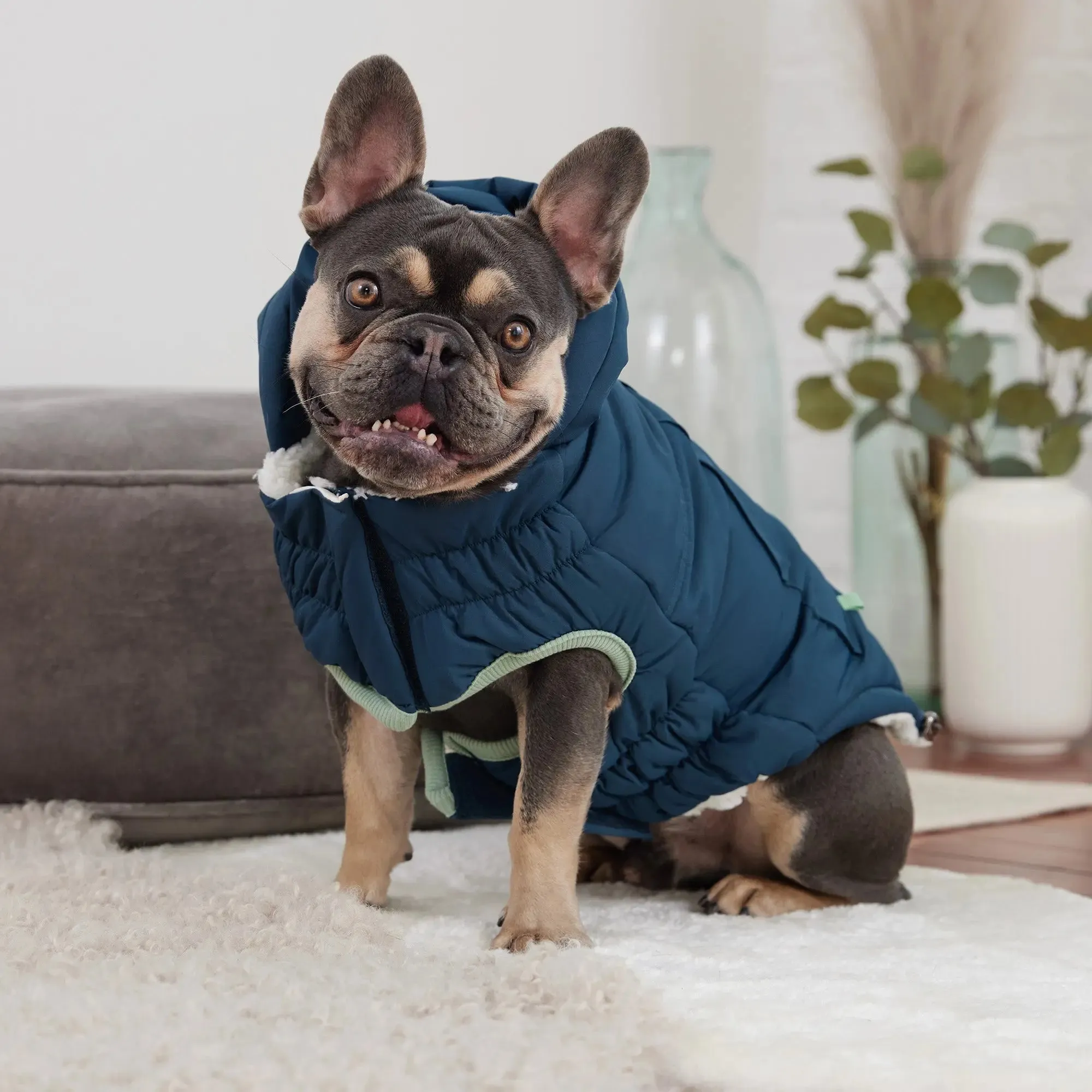 Arctic Dog Parka | Dark Teal