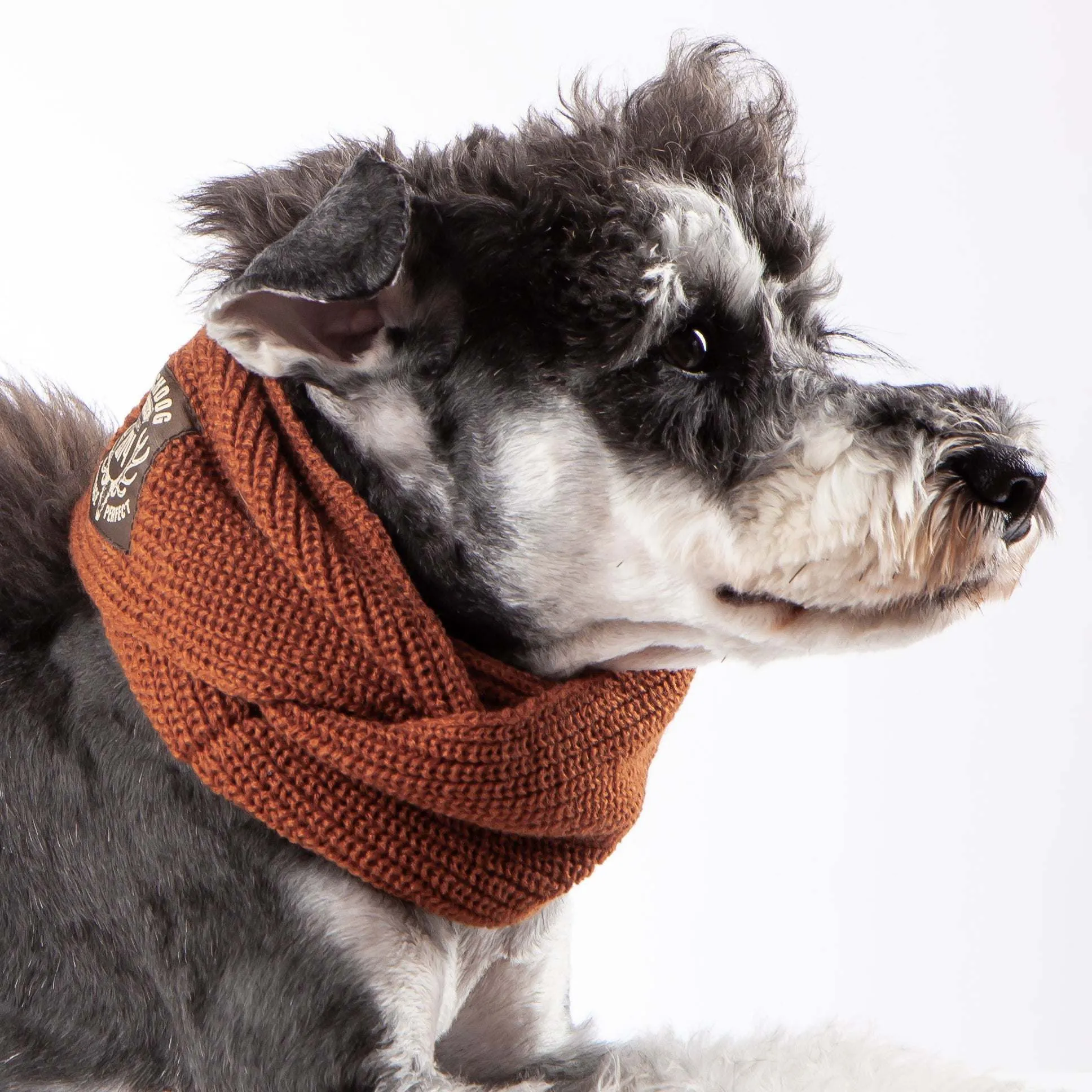 Knitted Winter Dog Scarf Fashion