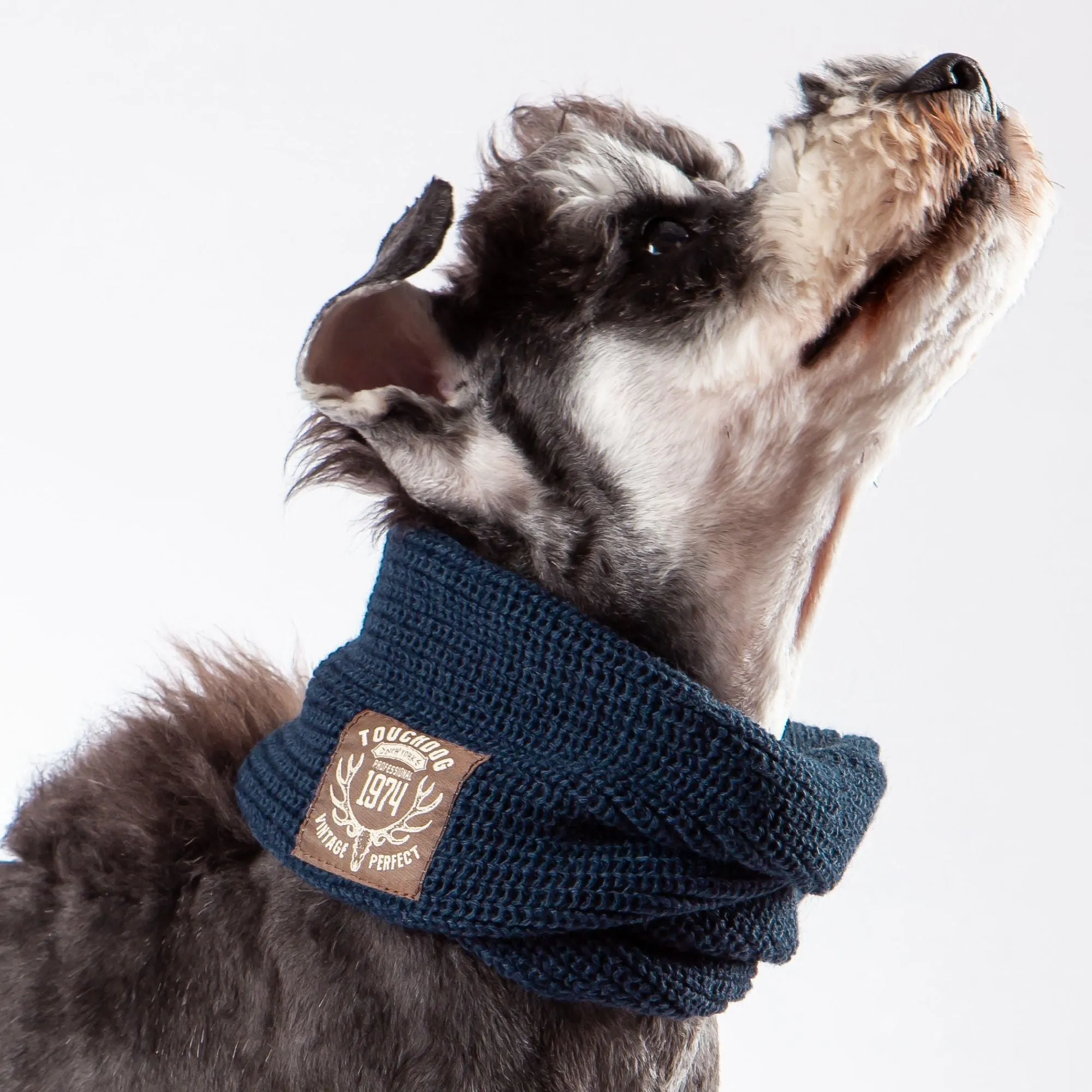 Knitted Winter Dog Scarf Fashion