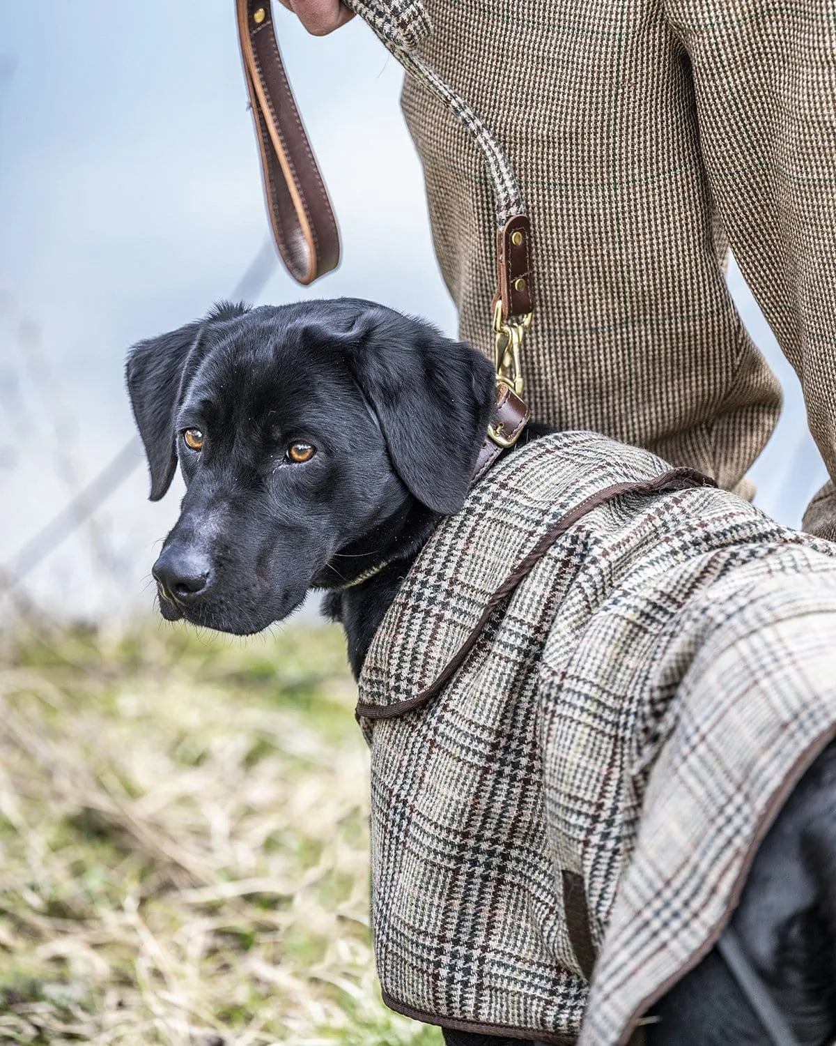 The Fife Arms Tweed Dog Coat